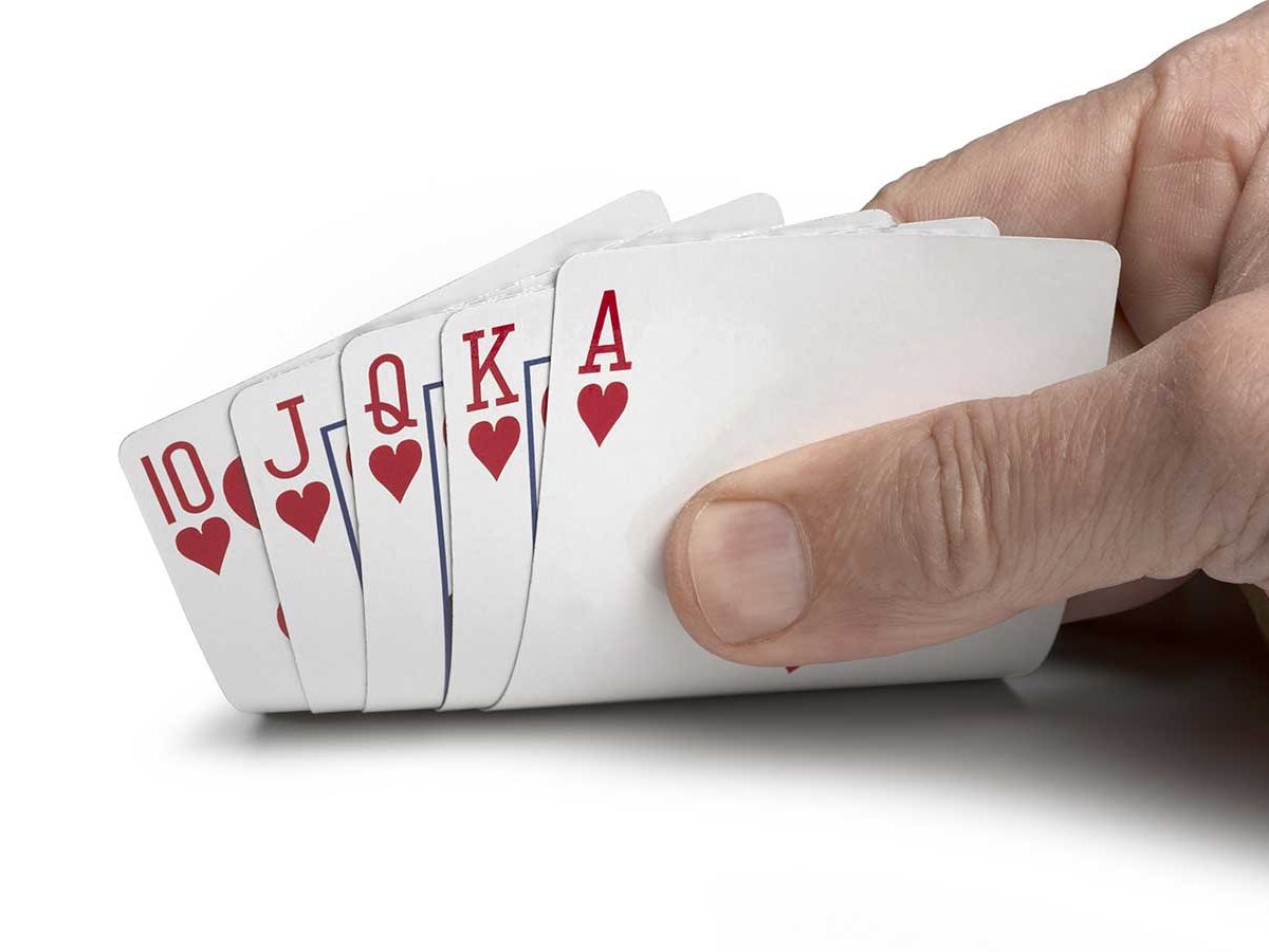 Bridge | Friedman JCC | The Center For Everyone